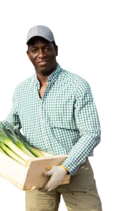 istockphoto-1481993133-612x612-removebg-preview